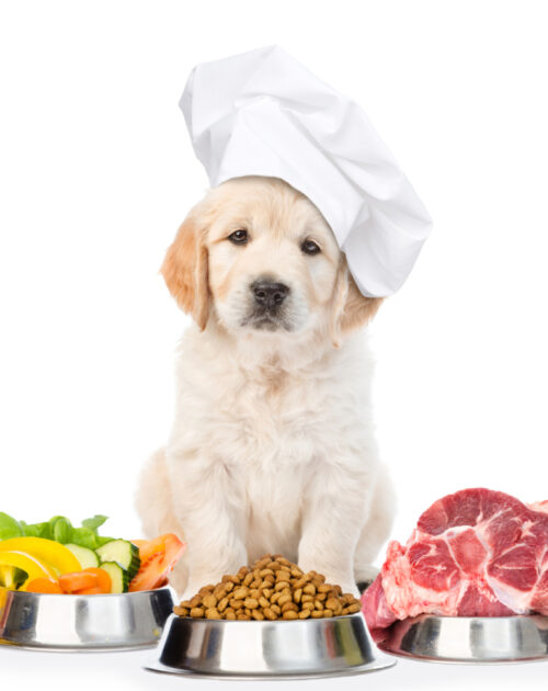 Pet Food and Treats